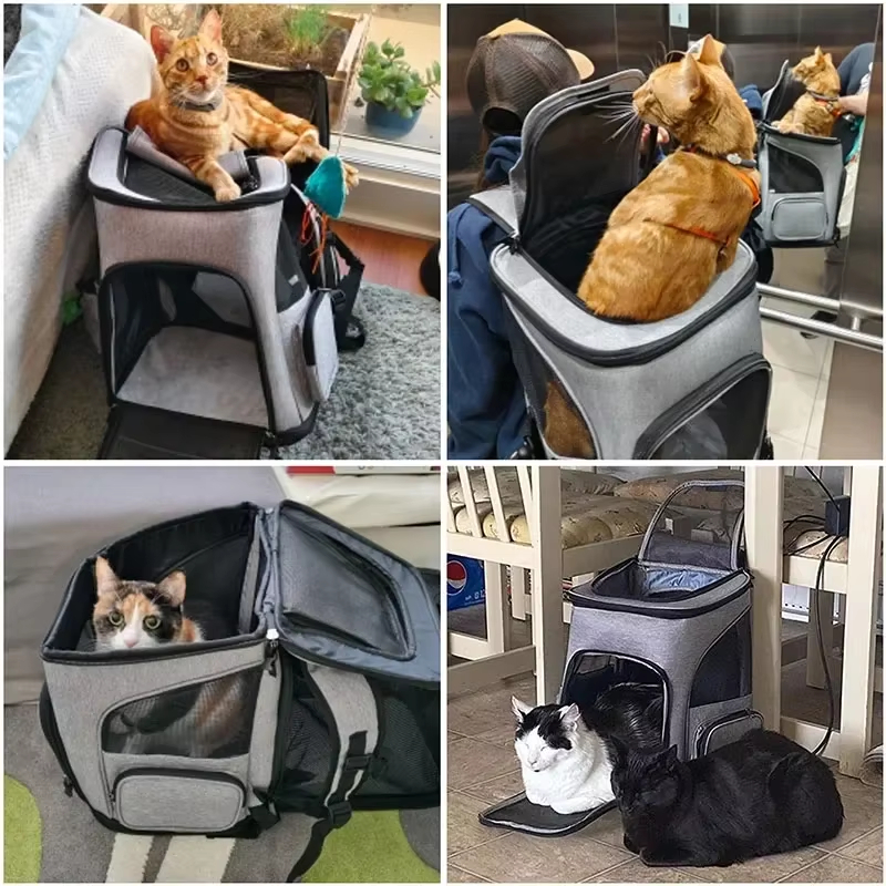 Cat Bag Outdoor Portable Cat B - Foldable Backpack Small avis et prix