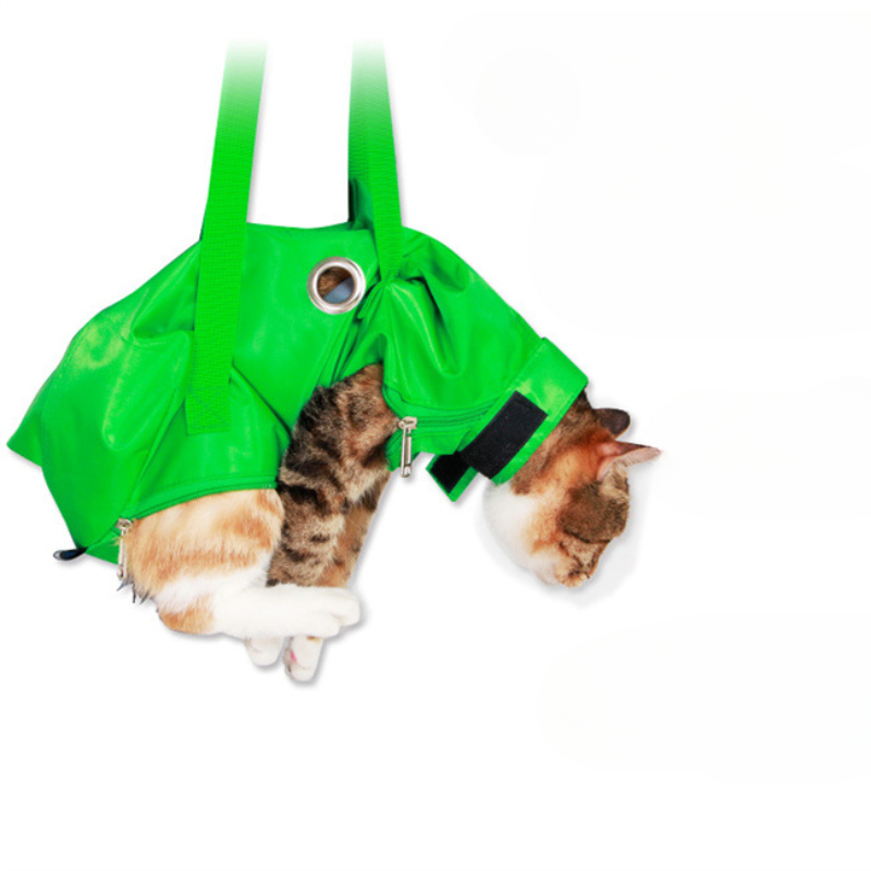 Portable Cat Backpack Pet Summ - Foldable Backpack Small avis et prix